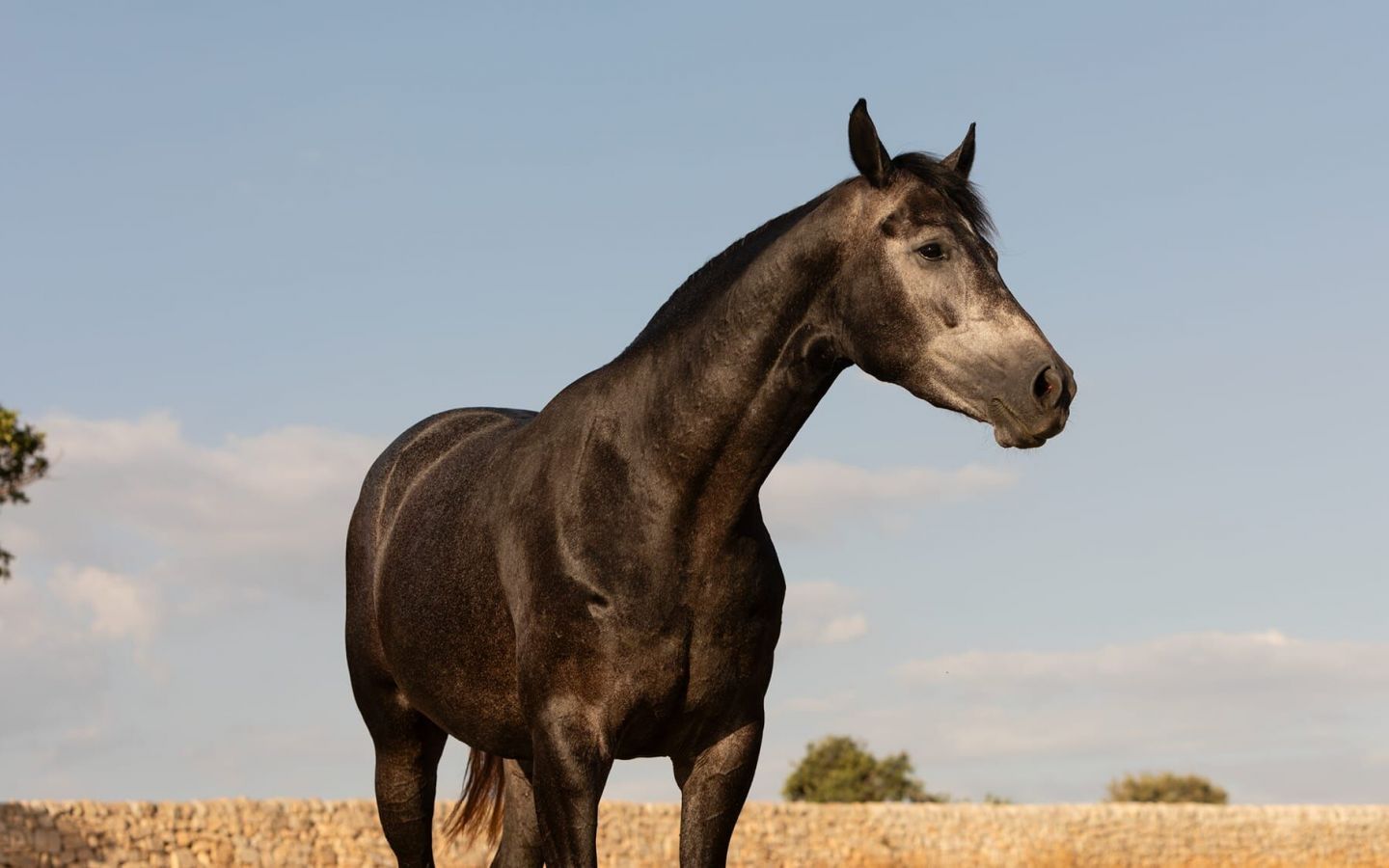 Vision, Mission e Valori