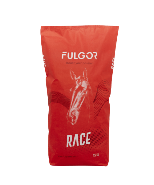 Race plus