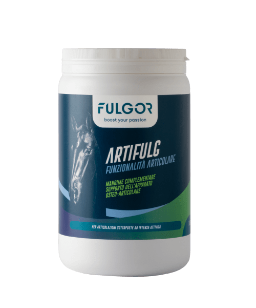 Artifulg